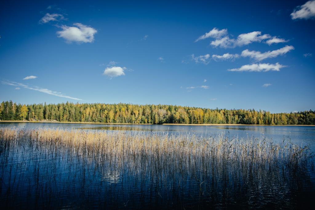 Sleepwell Villa Hartola By The Lake Kirkkola Dış mekan fotoğraf